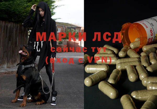 экстази Майский