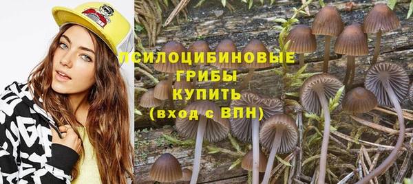 mix Магас