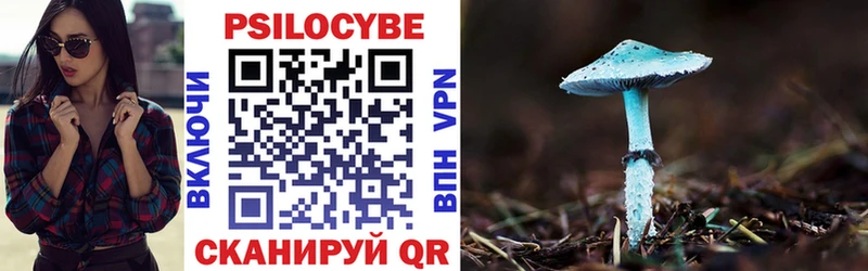Псилоцибиновые грибы GOLDEN TEACHER  наркошоп  Батайск 