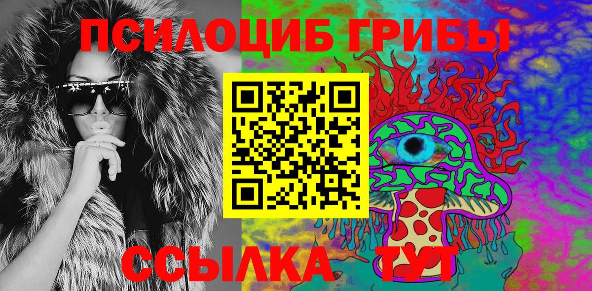 Галлюциногенные грибы Psilocybine cubensis Батайск